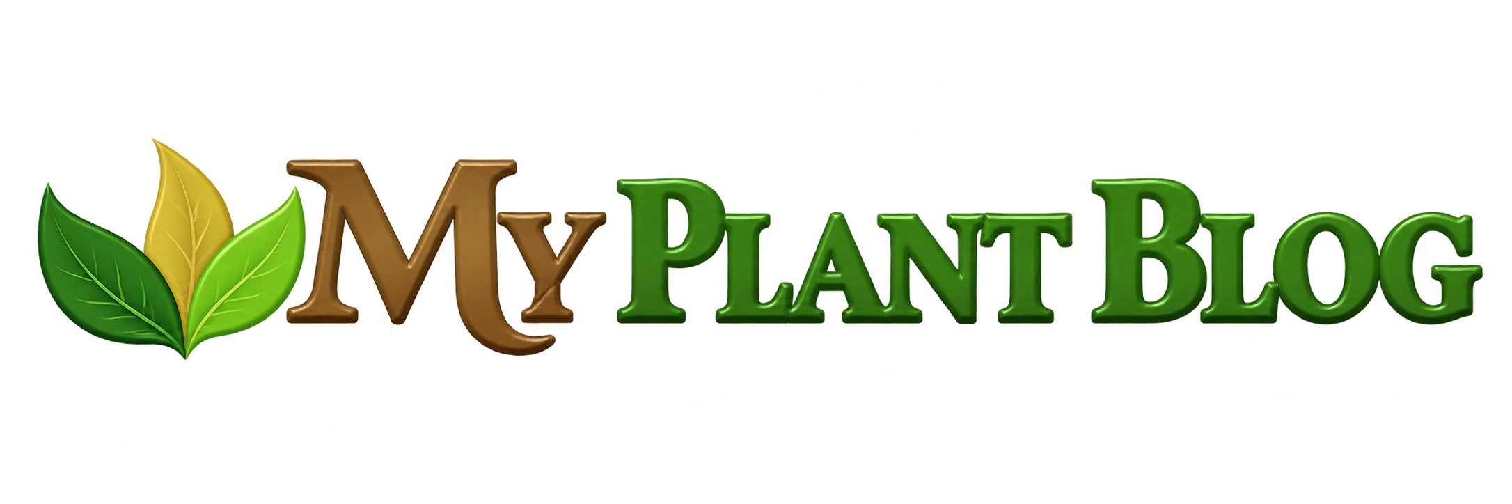 My Plant Blog